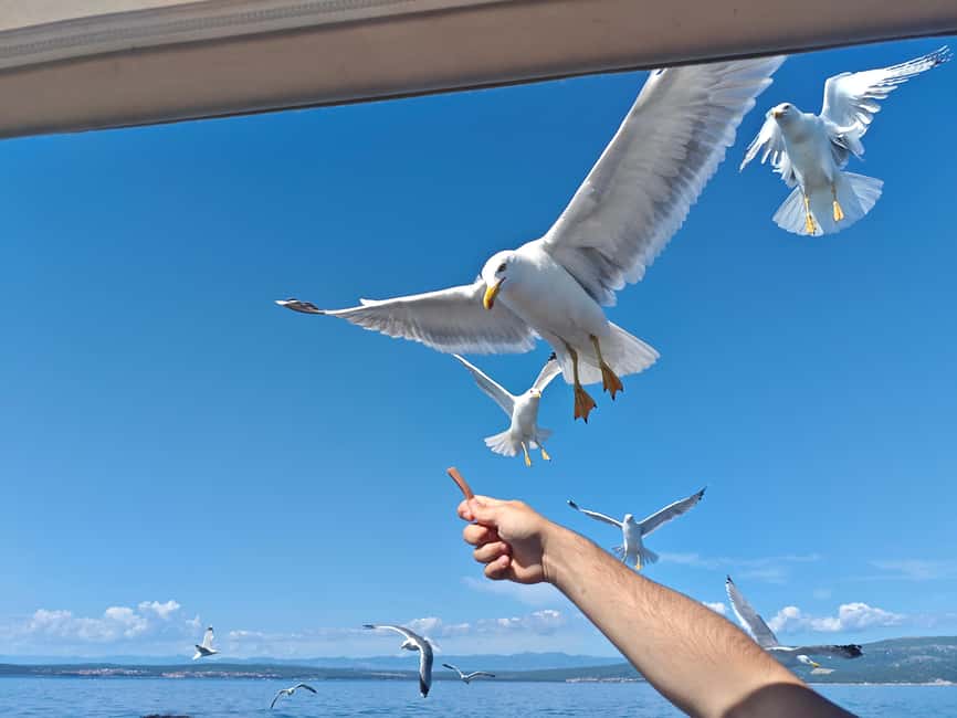 Krk: Golden Beach and Blue Cave Cruise with Welcome Drink - Crew and comfort on the water, the stuff you feel during the trip