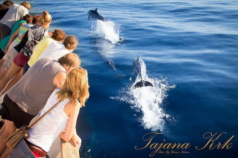 Krk:Rab & Pag Boat Trip with Swimming & City Tour with lunch - Price and value: what $64 buys you for a full 9 hours