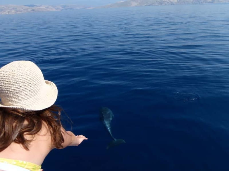 Krk:Rab & Pag Boat Trip with Swimming & City Tour with lunch - Krk coastline cruise: the easy start before the walking