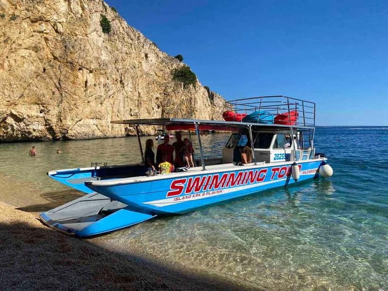 Krk: Swimming and Snorkeling tour on Golden Bay - What you can realistically expect to see under the surface
