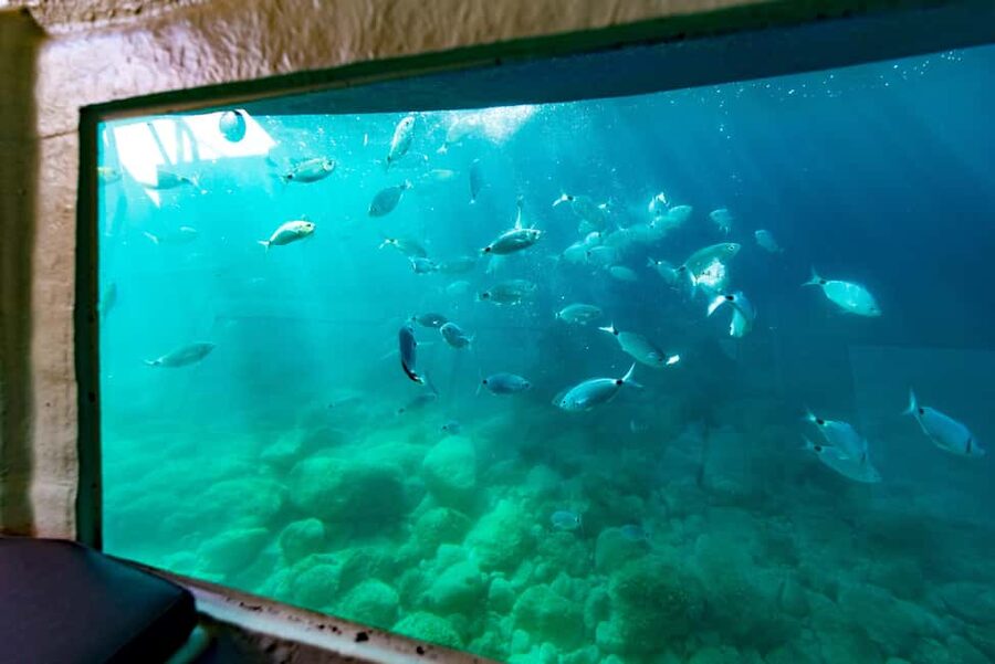 Krk: Yellow Semi-Submarine Tour - Key highlights to know before you go