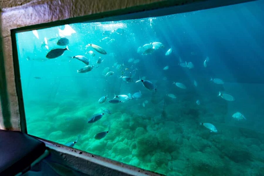 Krk: Yellow Semi-Submarine Tour - Practical Tips So Your Photos and Viewing Come Out Better