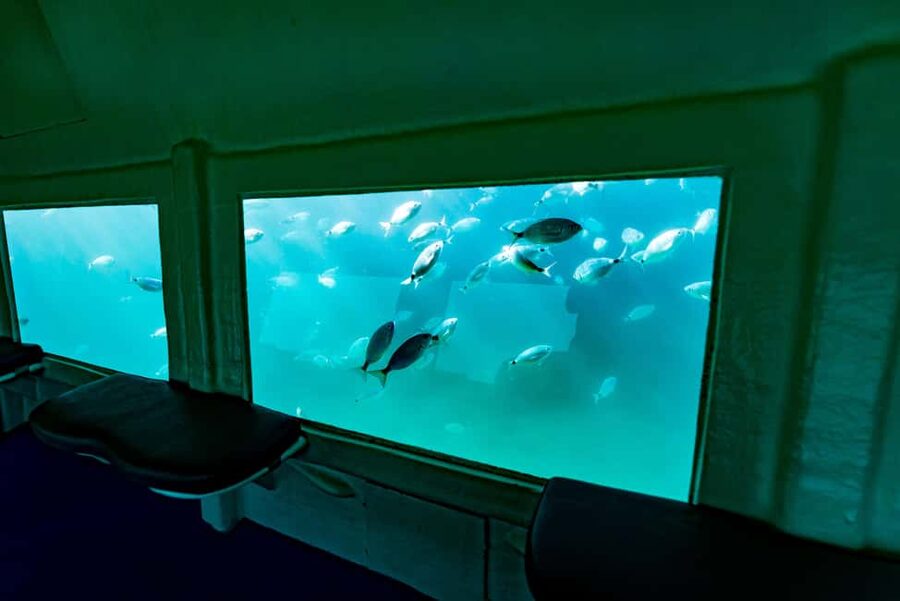 Krk: Yellow Semi-Submarine Tour - Underwater Cabin Comfort: Glass Windows, Air Conditioning, and Being Still