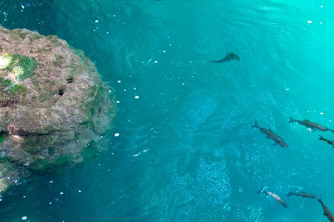 Krka Waterfalls Tour from Split with Boat Ride & Swimming - Skradin boat ride: the part that feels like a break