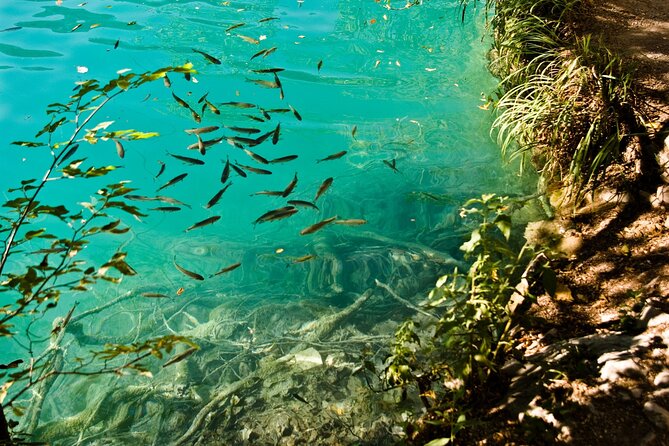 Krka Waterfalls Tour - Trip from Split with Boat & Swimming - Ethno village stop: culture you can actually connect with