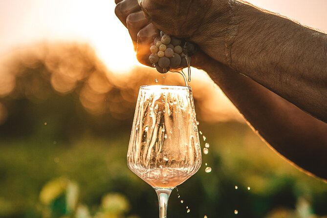 Krka Waterfalls & Wine and Cheese Tasting Tour from Split - Price And Value: $50.81 Plus The Park Fee