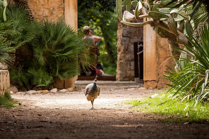 Legendary Game of Thrones & Lokrum Island Tour - FAQ