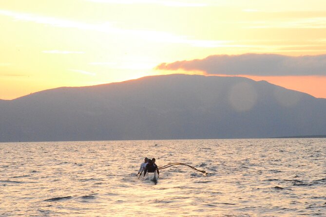 Lim Bay Outrigger Canoe Tour - Dolphins and marine life: what to watch for (without forcing it)
