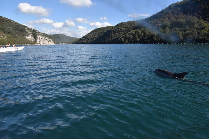 Lim Bay Outrigger Canoe Tour - Optional Fjord meal: value for food lovers and post-paddle cravings