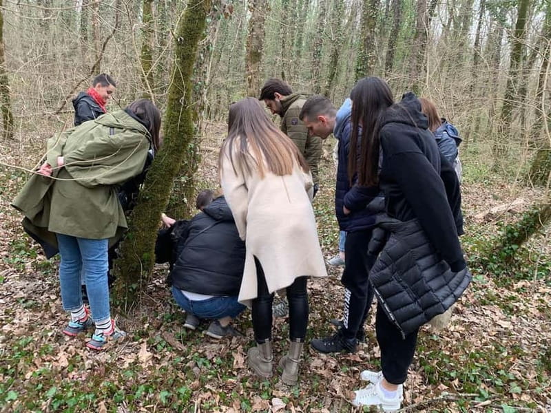 Livade: Guided Truffle Hunting Walking Tour - Motovun Forest Truffle Hunting Starts in Livade, Not a Truffle Shop