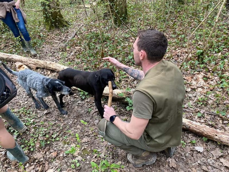Livade: Guided Truffle Hunting Walking Tour - What You’ll Do During the Walk: Search Patterns, Soil, and Patience
