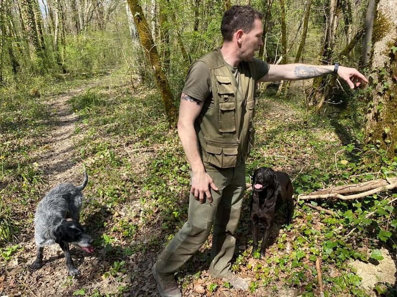 Livade: Guided Truffle Hunting Walking Tour - Gear and Comfort: Mud Is Part of the Deal