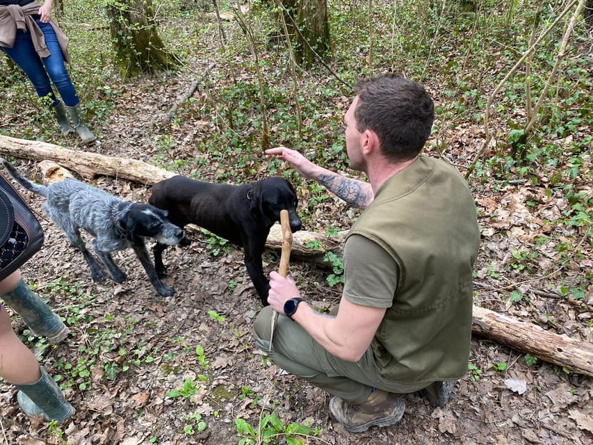 Livade: Guided Truffle Hunting Walking Tour - Price and Value: Why $58 Might Feel Cheap or Not Enough