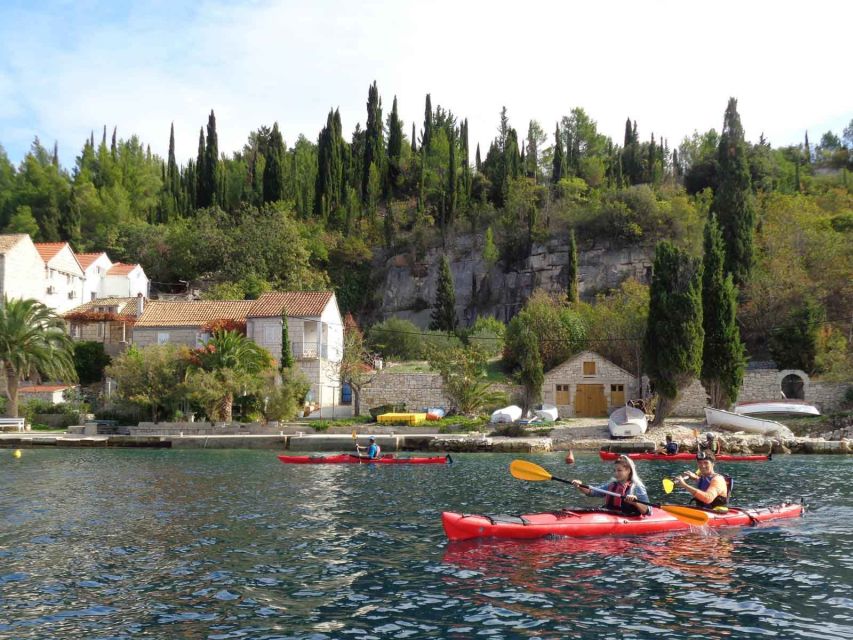 Lumbarda: Half-Day Kayaking and History with Wine delight - Key things to know before you paddle