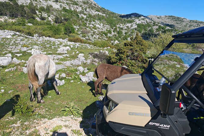 Makarska: Baggy Skywalk & Biokovo Viewpoint Tour - Viewpoint stops and the “game drive” style scenic pacing