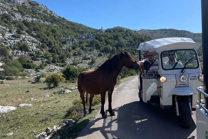 Makarska: Skywalk Tour with a Tuk Tuk - Skip the line ticket - What You’ll Experience on the Ride: Views, Stories, and Small Comforts