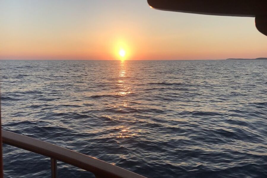 Medulin: Dolphin Sunset Tour 85% chance with Drinks + Dinner - What’s Included, What’s Not, and What to Bring