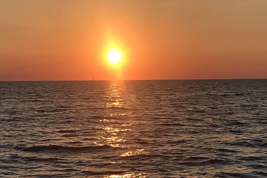 Medulin: Dolphin Sunset Tour 85% chance with Drinks + Dinner - Should You Book the Medulin Dolphin Sunset Tour?