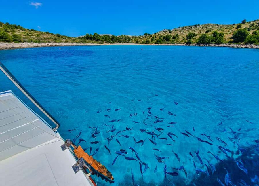 Mikado Kornati Excursion with snorkeling and hiking stops - What to Bring: Simple Gear That Makes the Day Easier