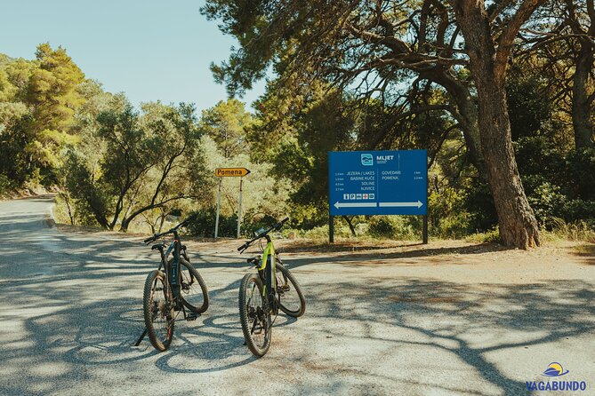 Mljet National Park trip - Pure Nature & Island Escape - Guide support and group size: what a small crew changes