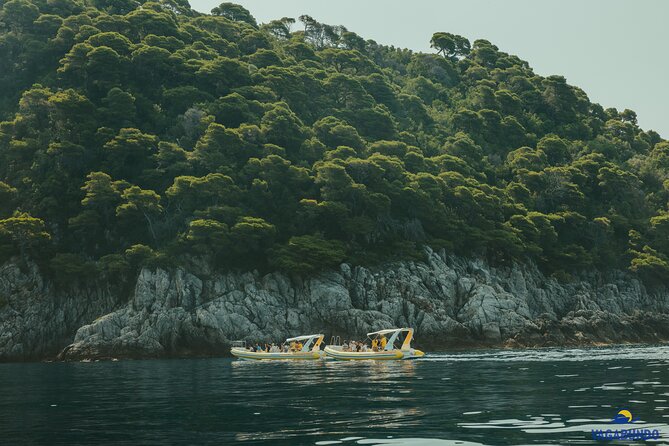 Mljet National Park trip - Pure Nature & Island Escape - Speedboat and scenery toward Prapratno Beach