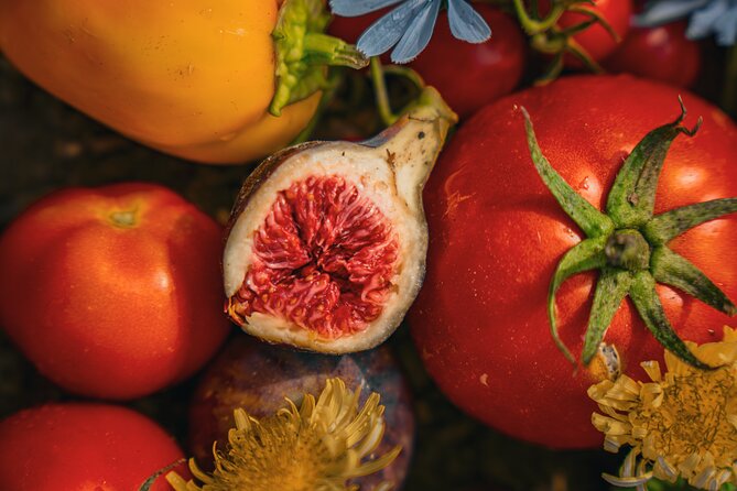 Olive farm & village - Key highlights you should not miss