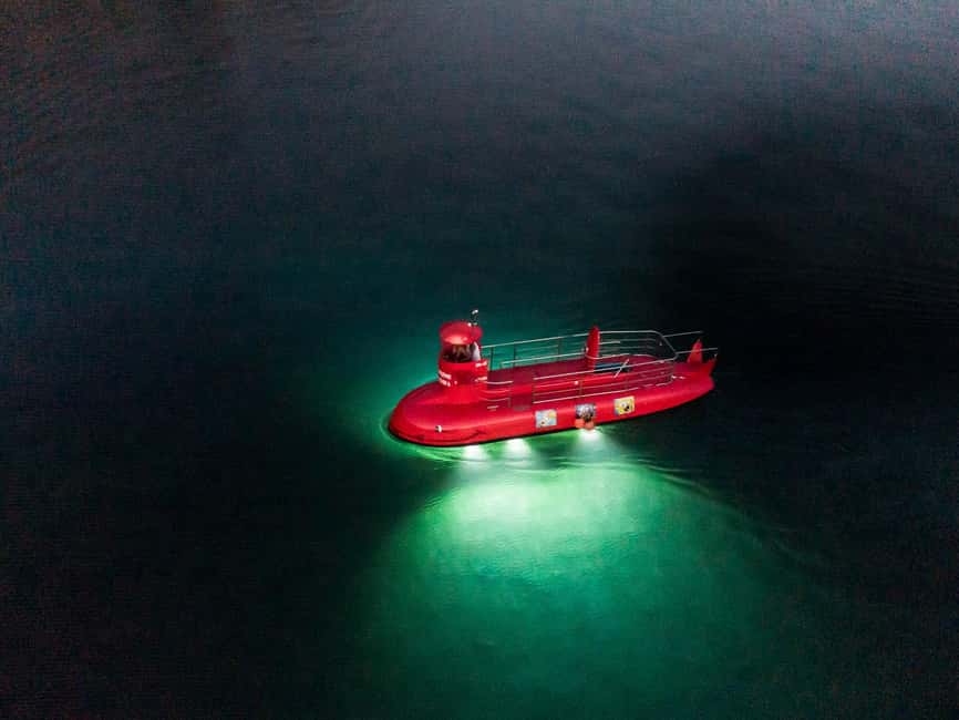 Omiš: Semi-Submarine Underwater Adventure - Sea Life Chances: Fish First, Octopus and Jellyfish If You’re Lucky