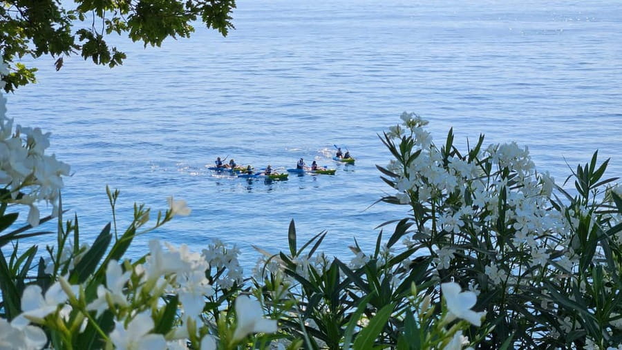 Opatija: Cliffs and caves kayak adventure - Should you book Opatija Cliffs and Caves?