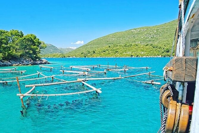 Oyster farm experience / Private day trip from Dubrovnik - Key moments that make this day worth it