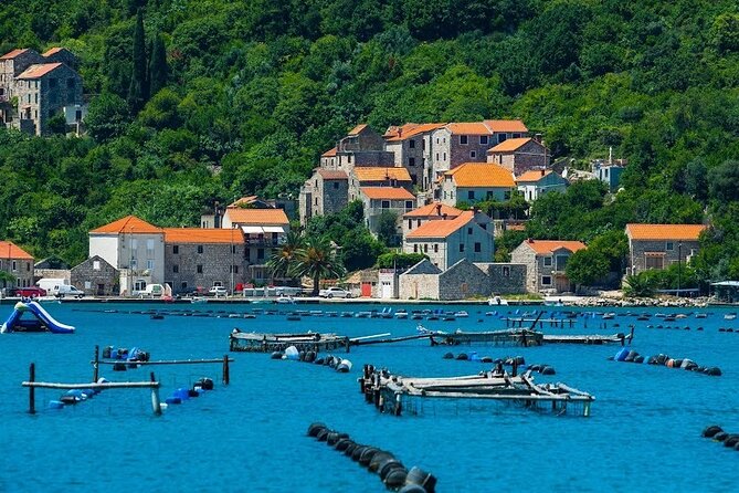 Oyster farm experience / Private day trip from Dubrovnik - What this oyster-farm day trip is like from Dubrovnik