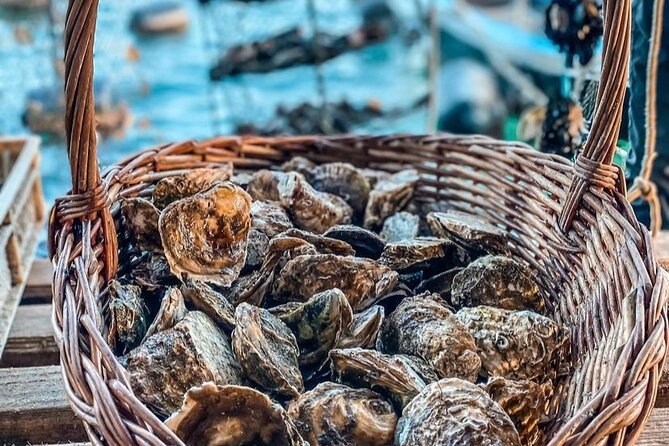 Oyster farm experience / Private day trip from Dubrovnik - Curlin winery in Ponikve village: included wine, real pacing