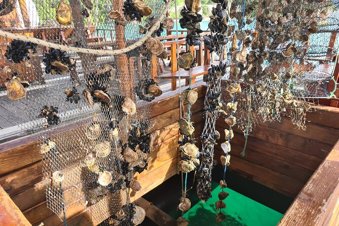 Oysters & Wine Tour From Dubrovnik (Small Group) - Key moments worth your time
