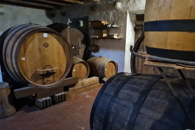 Oysters & Wine Tour From Dubrovnik (Small Group) - What you actually eat and drink, and how the day stays balanced
