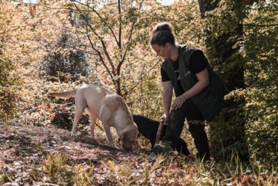 Paladini: Truffle Hunting Tour with 3-Course Tasting Menu