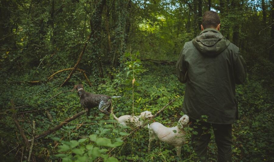 Paladini: Truffle Hunting Tour with 3-Course Tasting Menu - Drinks during the hunt and meal, what’s included