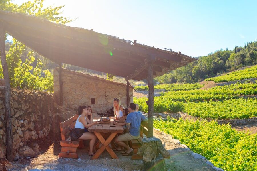Pelješac Full-Day Wine and Food Tour from Dubrovnik - The 8-hour Pelješac rhythm: how the day stays fun