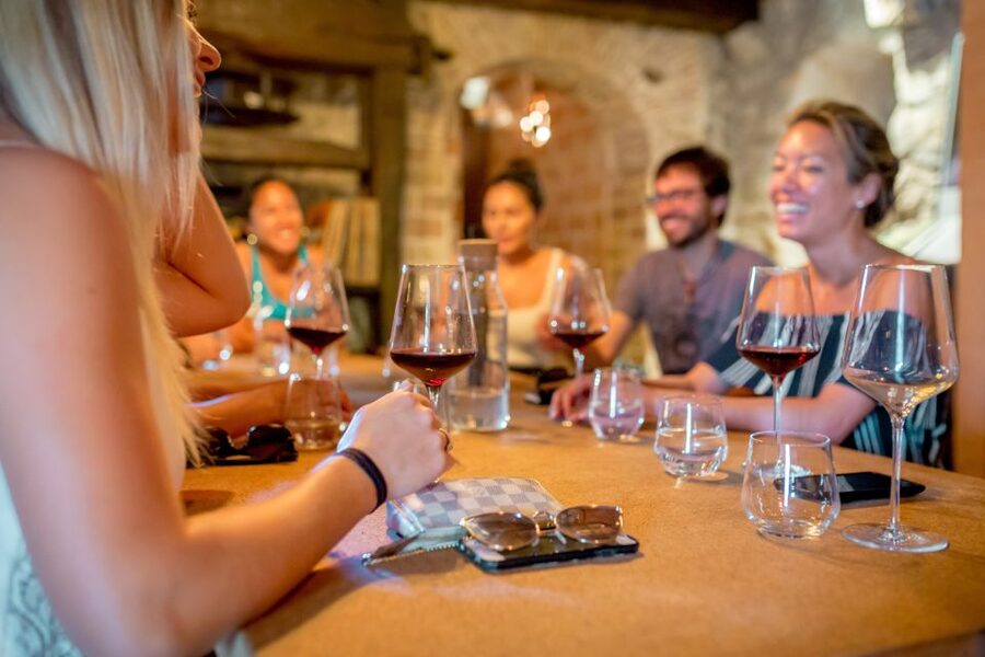 Pelješac Full-Day Wine and Food Tour from Dubrovnik - Ston salt works and medieval streets: why salt matters here