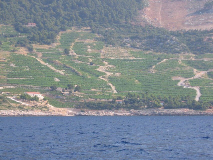 Peljesac Peninsula & Korcula Island Day-Trip from Dubrovnik - Potomje Winery Stop: Tasting Wines, Plus Brandy and Liquors