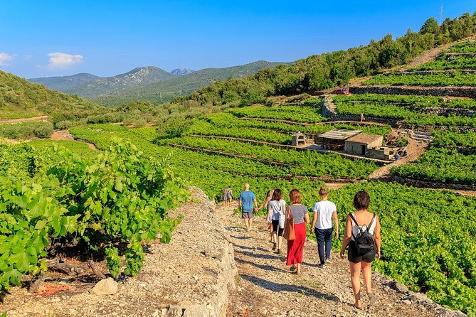 Peljesac&Ston Small-Group Food & Wine Experience from Dubrovnik - Key Points That Make This Tour Worth Your Time