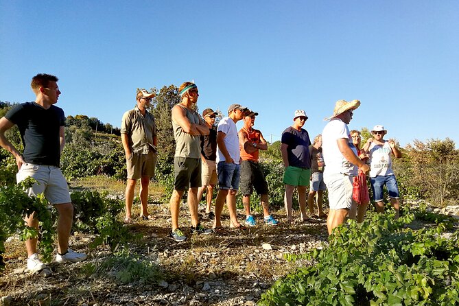 Peljesac&Ston Small-Group Food & Wine Experience from Dubrovnik - Price and Value: Does $264.32 Add Up?