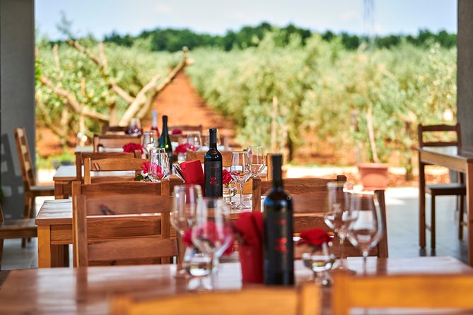 PERVINO - Wine tasting - Key highlights I’d target