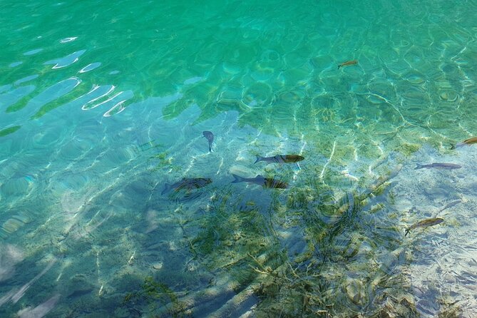 Plitvice Lakes Day Tour from Zadar, Simple and Safe - Boat and train rides that actually save your legs