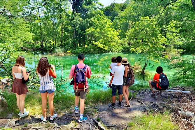 Plitvice Lakes Guided tour with Entrance ticket included - Should you book this Plitvice Lakes tour from Split?