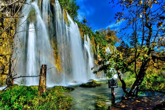 Plitvice Lakes National Park Admission Ticket - Dogs and service animals: what is allowed inside the park
