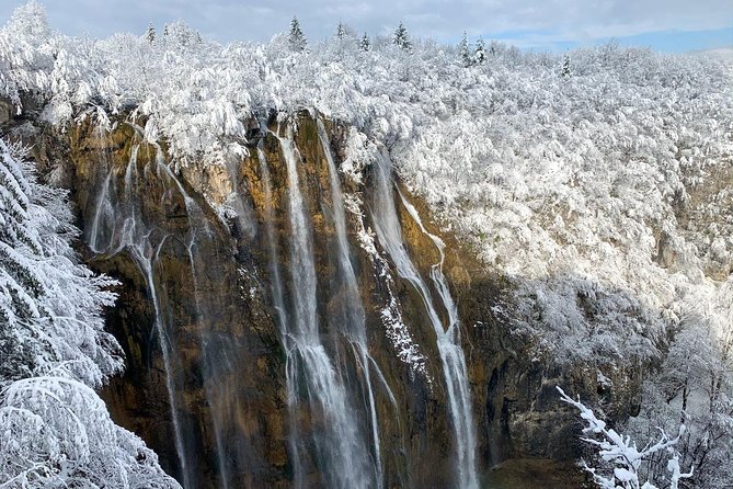 Plitvice Lakes National Park Full day tour - Skip-the-line entry at Entrance 1, then straight to the Lower Lakes