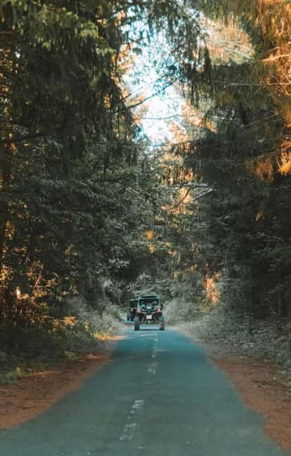 Plitvice Lakes National Park - Inspiration Buggy Tour - Korana Selo Old Water Mill: A 30-Minute Dirt Road Ride to Pure Water and Small Waterfalls
