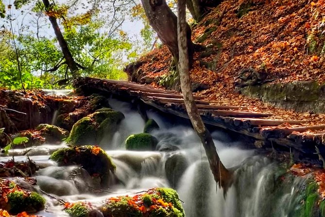 Plitvice Lakes National Park - private day-trip from Zagreb - How the day actually flows: pacing, breaks, and realistic expectations