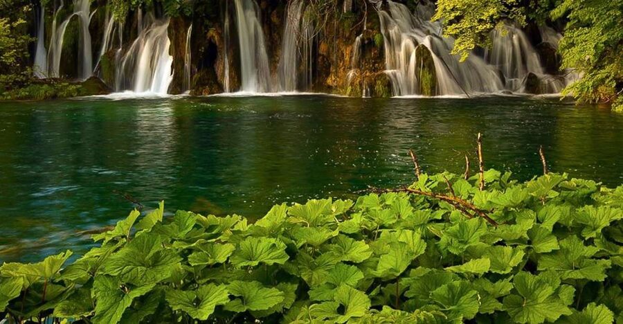 Plitvice Lakes Private Guided Tour - What makes Plitvice so special, beyond the postcard waterfalls