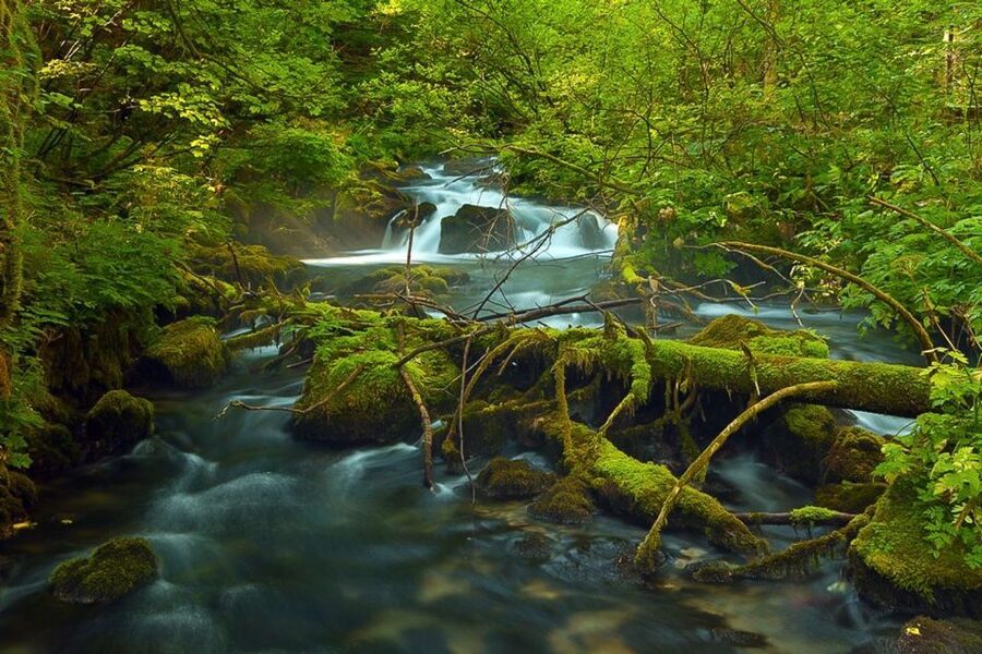 Plitvice Lakes Private Guided Tour - Waterfall photo stops: how the guide helps you get the best angles