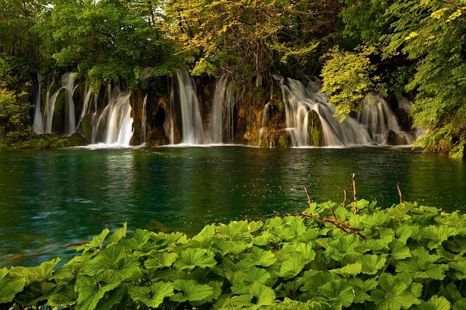 Plitvice Lakes Private Guided Walking Tour - Upper Lakes, Lower Lakes, or both: choosing the right loop
